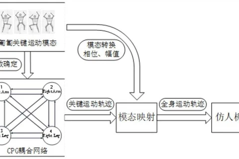 A Whole-Body Motion Planning Method for Low-Posture Crawling of Humanoid Robots Based on Key Mode Decomposition and CPG featured image