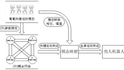 A Whole-Body Motion Planning Method for Low-Posture Crawling of Humanoid Robots Based on Key Mode Decomposition and CPG featured image